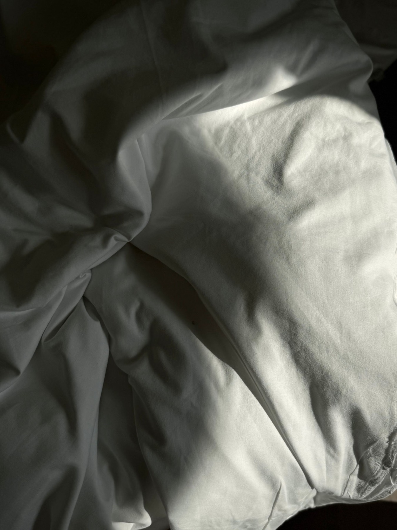 Pillows & Duvets