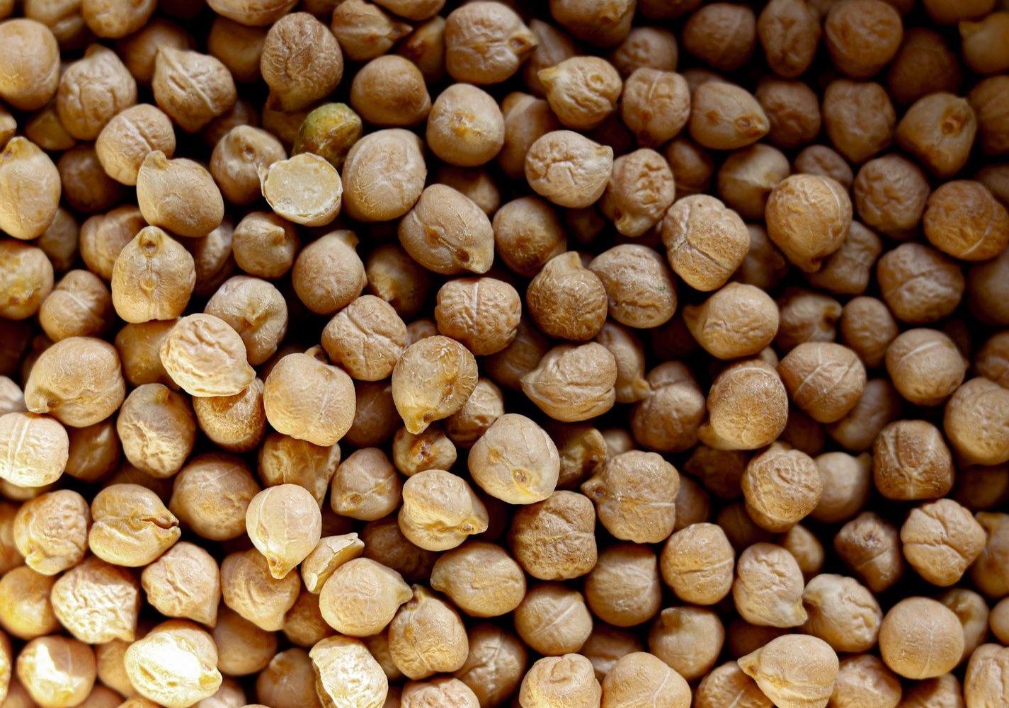 Kabuli Chickpea, gram exported from India by Roman Maritime