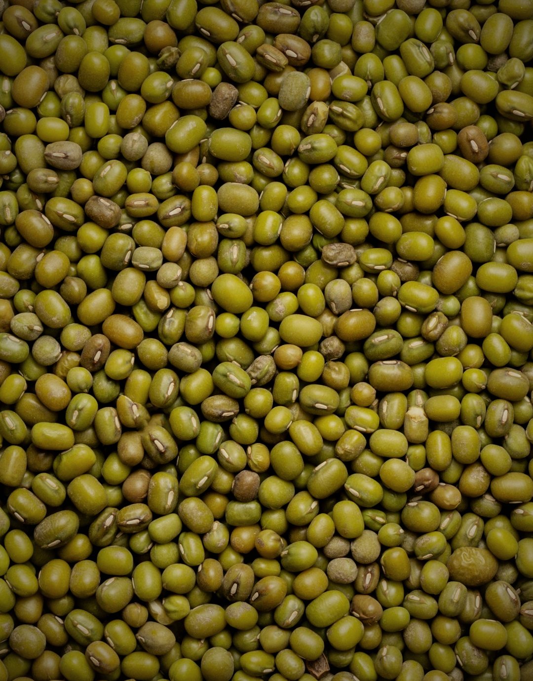 Moong Dal, gram exported from India by Roman Maritime
