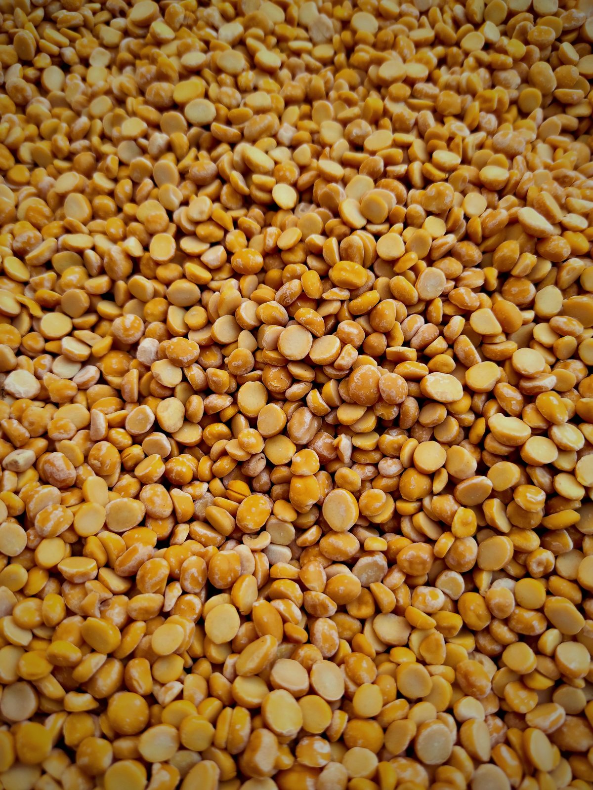 Toor Dal, gram exported from India by Roman Maritime