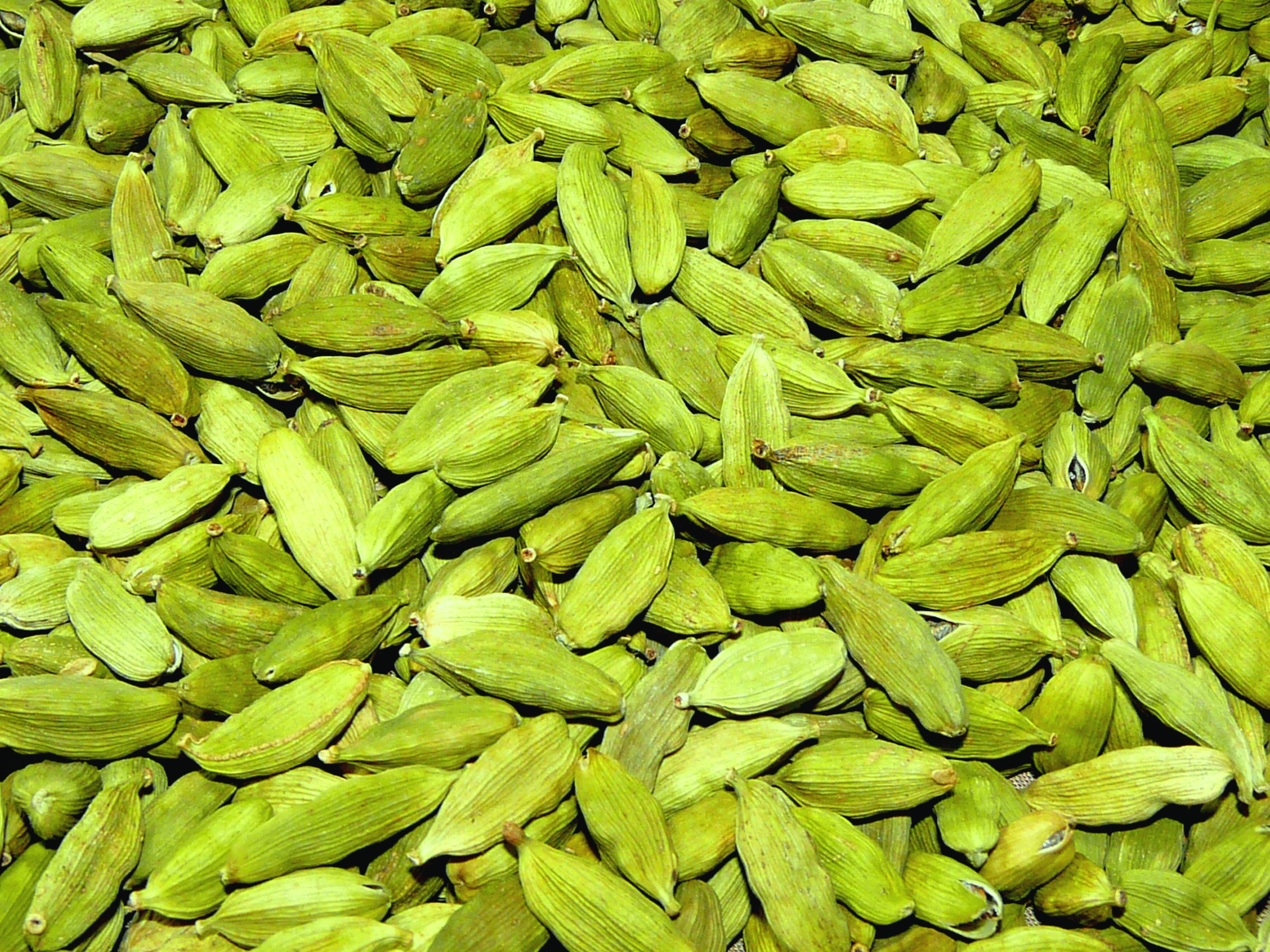 Green Cardamom, spice exported from India by Roman Maritime