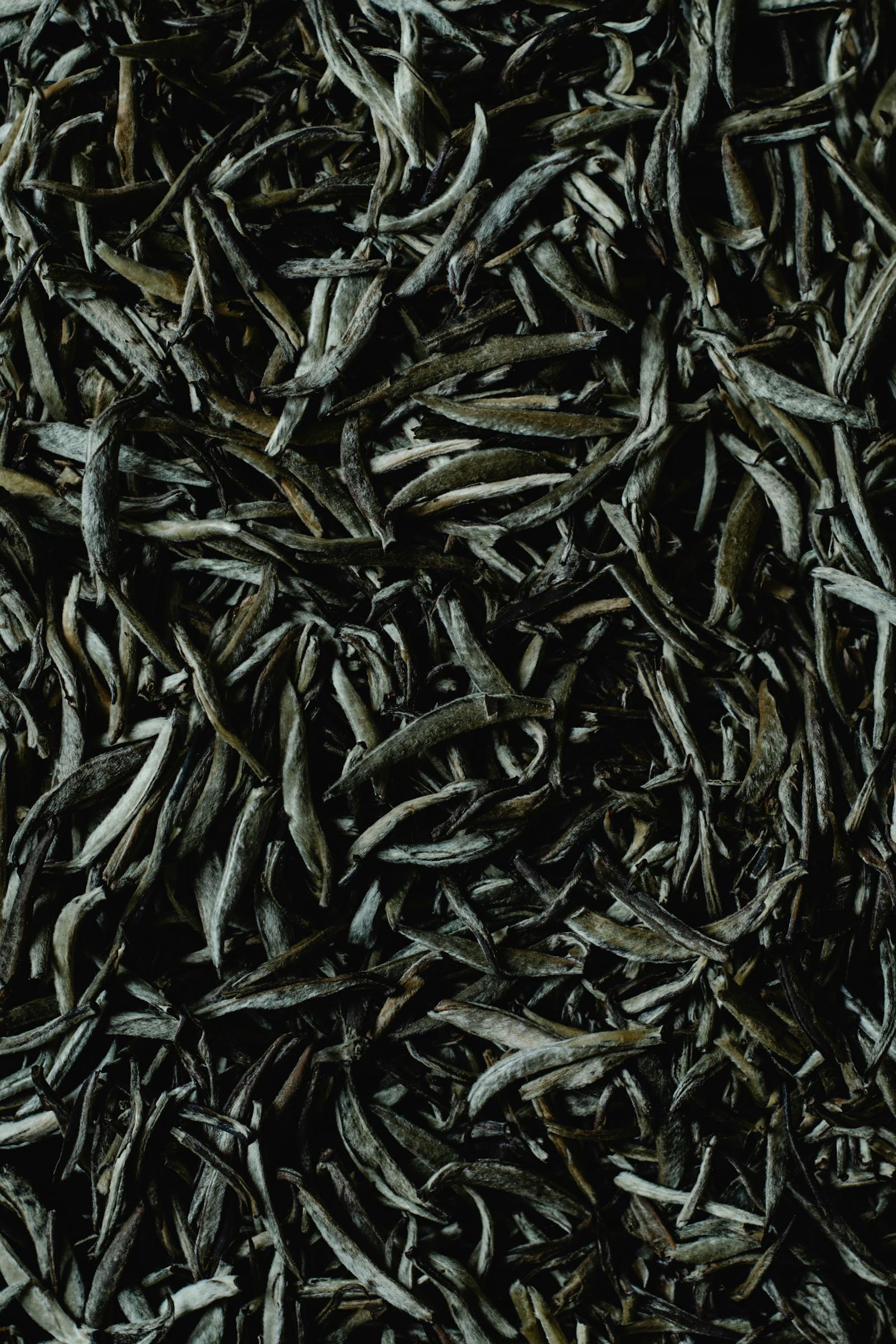 First Flush Orthodox, leaf exported from India by Roman Maritime
